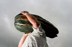 A Giant Zucchini - oddstuffmagazine.com