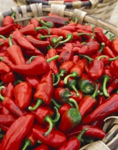 Hot Peppers!